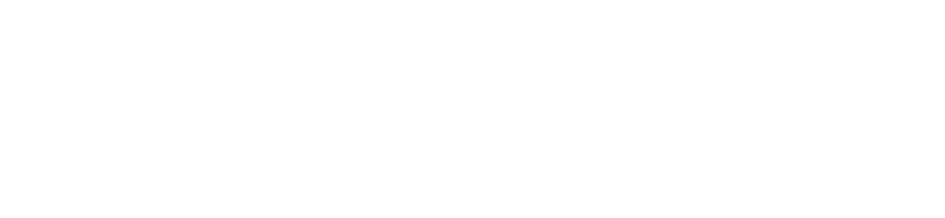 Netvision Solutions — driving innovation through technology
